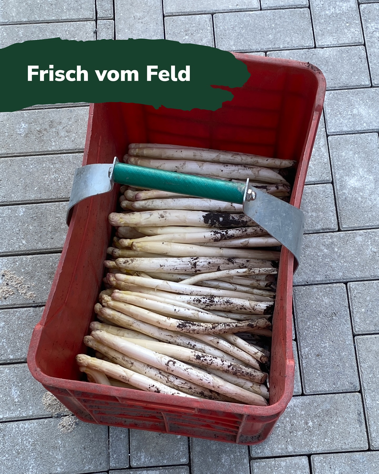 spargelhof_kuhlendahl auf Instagram